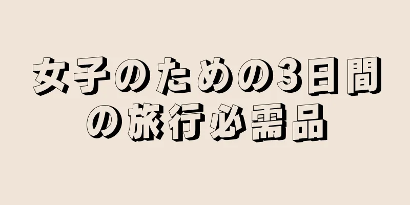 女子のための3日間の旅行必需品