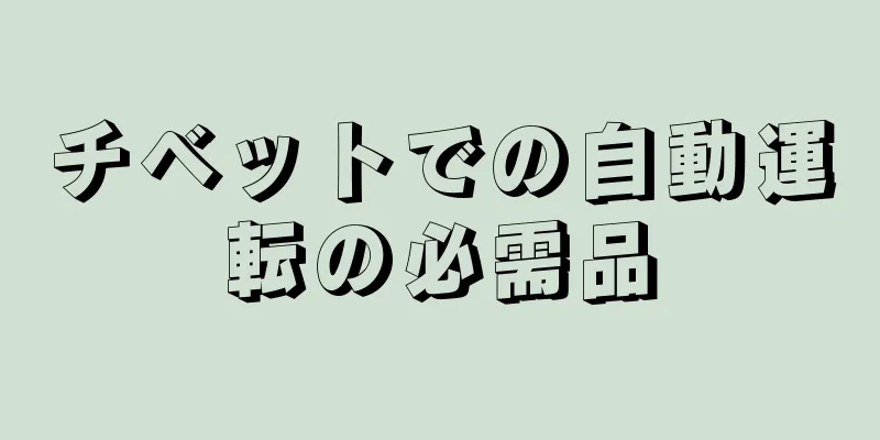 チベットでの自動運転の必需品