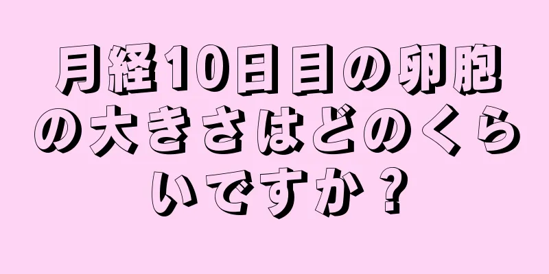 月経10日目の卵胞の大きさはどのくらいですか？