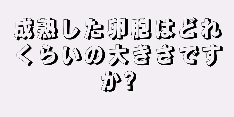 成熟した卵胞はどれくらいの大きさですか?