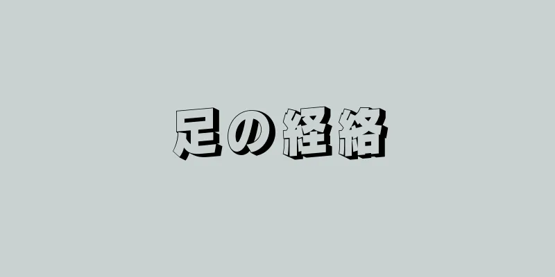 足の経絡