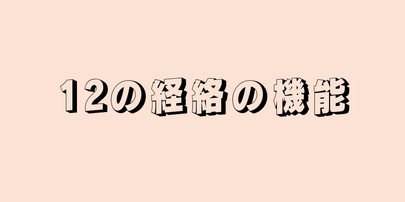 12の経絡の機能