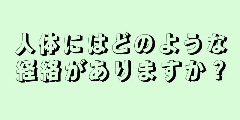 人体にはどのような経絡がありますか？