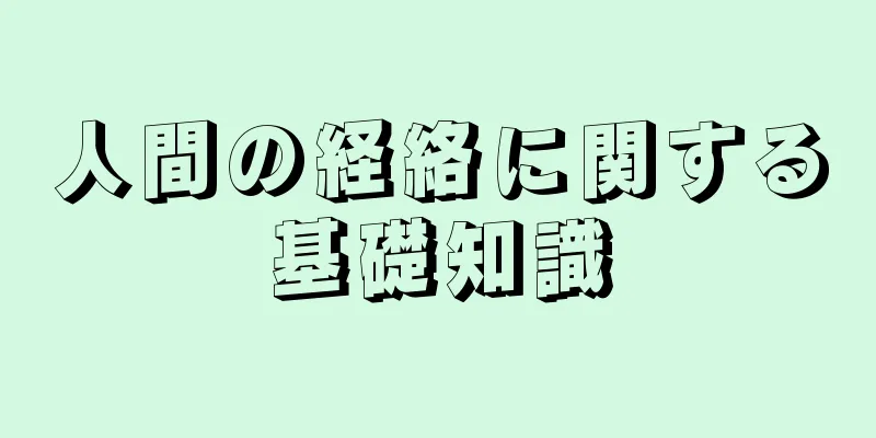 人間の経絡に関する基礎知識