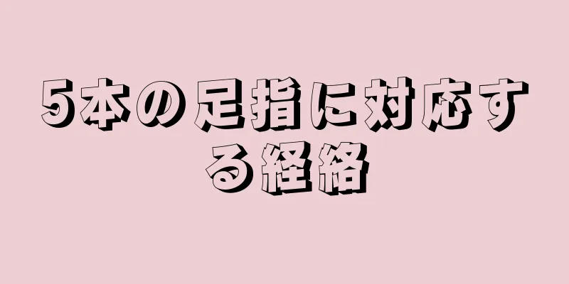 5本の足指に対応する経絡