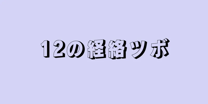 12の経絡ツボ