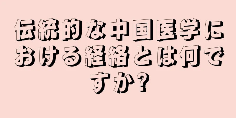 伝統的な中国医学における経絡とは何ですか?