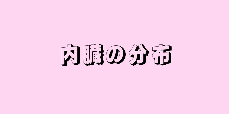 内臓の分布