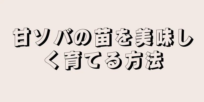 甘ソバの苗を美味しく育てる方法