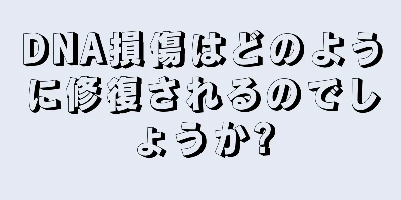 DNA損傷はどのように修復されるのでしょうか?