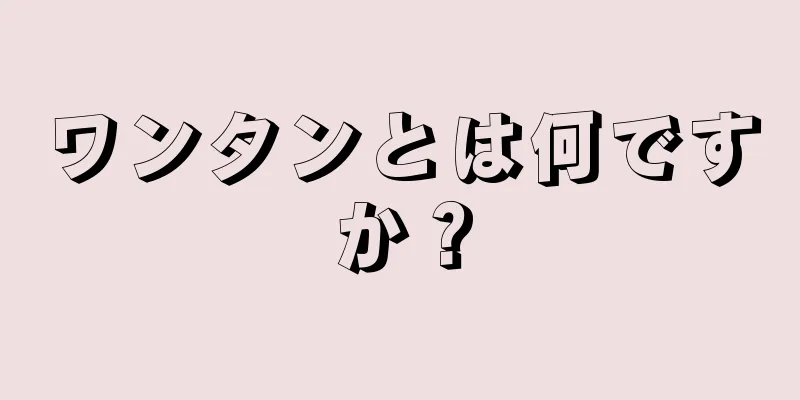 ワンタンとは何ですか？