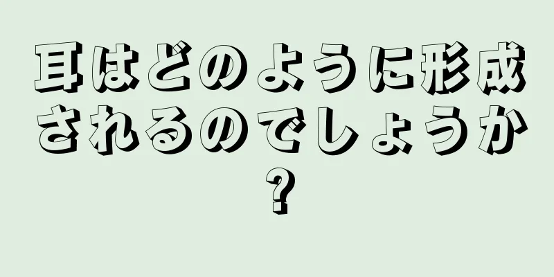 耳はどのように形成されるのでしょうか?