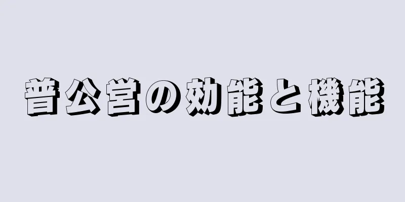 普公営の効能と機能