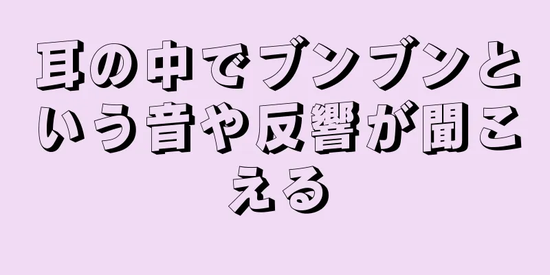 耳の中でブンブンという音や反響が聞こえる