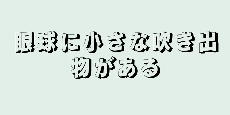 眼球に小さな吹き出物がある