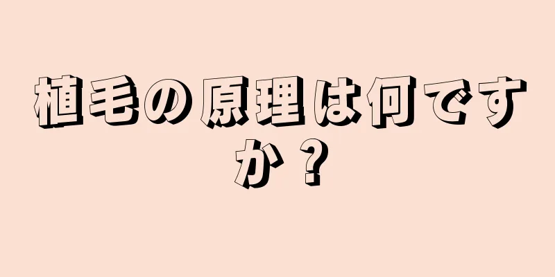 植毛の原理は何ですか？