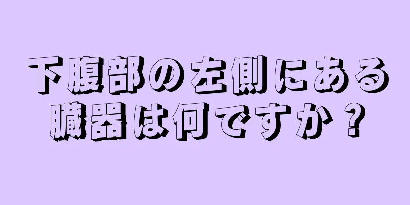 下腹部の左側にある臓器は何ですか？