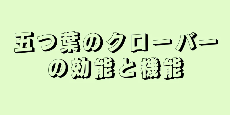 五つ葉のクローバーの効能と機能