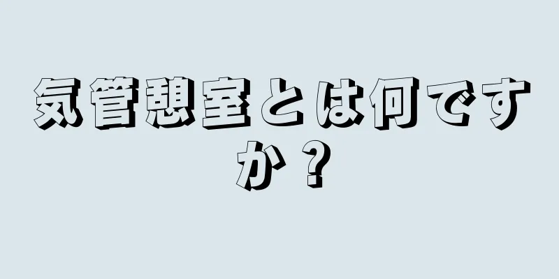 気管憩室とは何ですか？