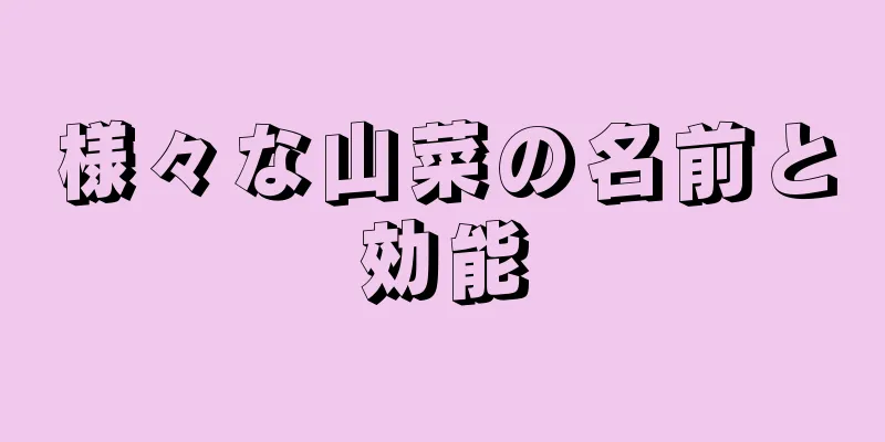 様々な山菜の名前と効能