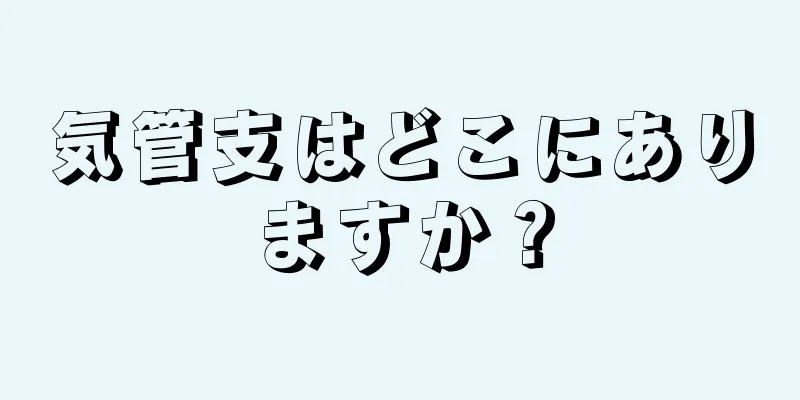 気管支はどこにありますか？