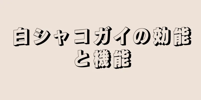 白シャコガイの効能と機能