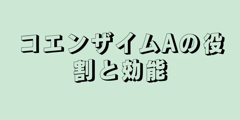 コエンザイムAの役割と効能