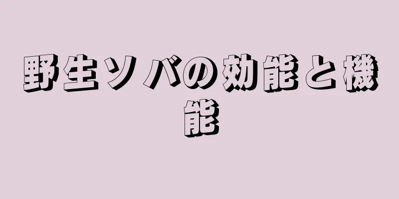 野生ソバの効能と機能