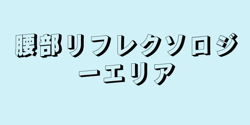 腰部リフレクソロジーエリア