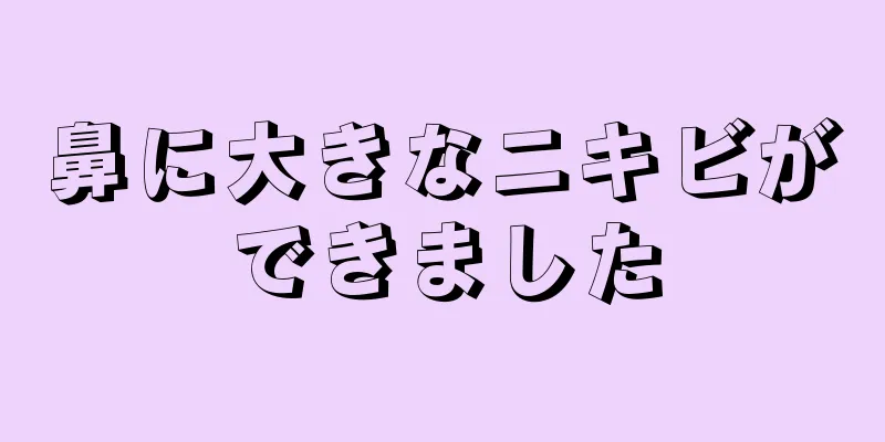 鼻に大きなニキビができました