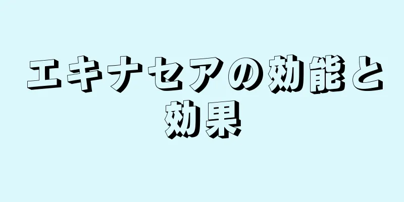 エキナセアの効能と効果