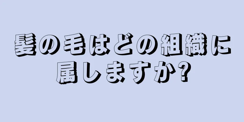 髪の毛はどの組織に属しますか?