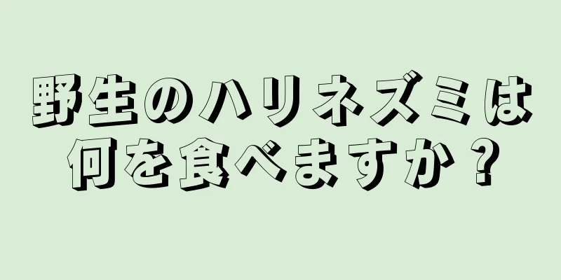 野生のハリネズミは何を食べますか？