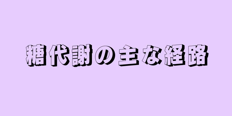 糖代謝の主な経路