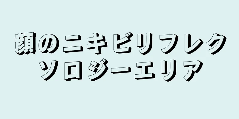 顔のニキビリフレクソロジーエリア