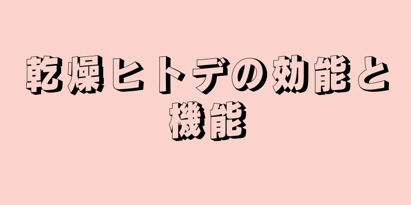 乾燥ヒトデの効能と機能