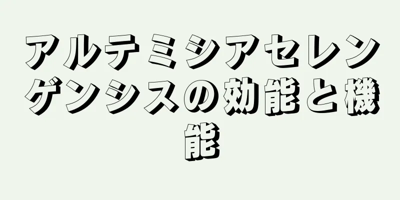 アルテミシアセレンゲンシスの効能と機能