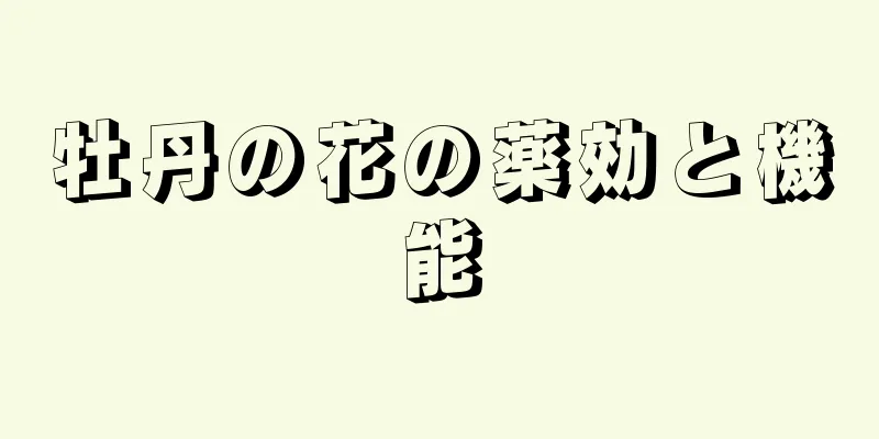 牡丹の花の薬効と機能