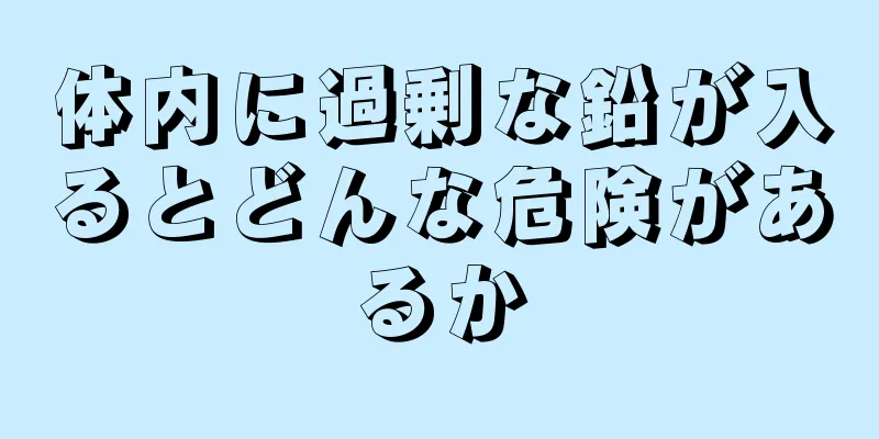 体内に過剰な鉛が入るとどんな危険があるか