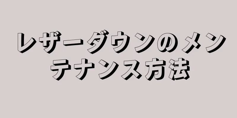 レザーダウンのメンテナンス方法