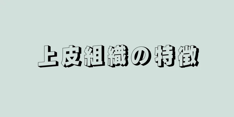 上皮組織の特徴