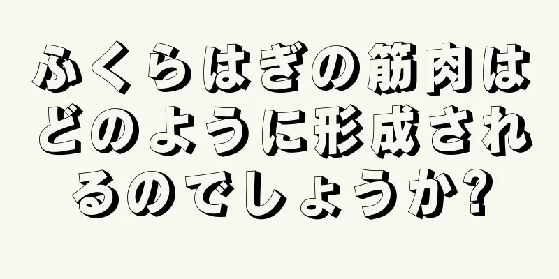 ふくらはぎの筋肉はどのように形成されるのでしょうか?