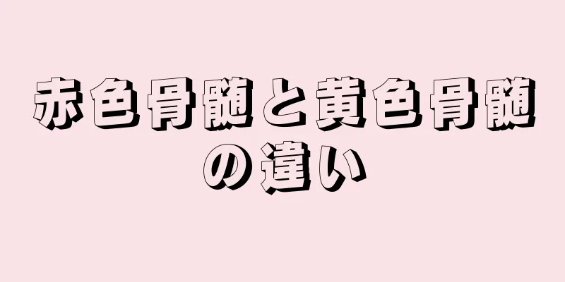 赤色骨髄と黄色骨髄の違い