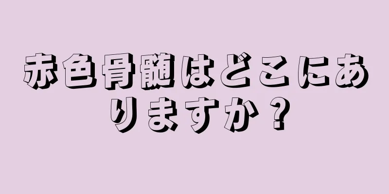 赤色骨髄はどこにありますか？