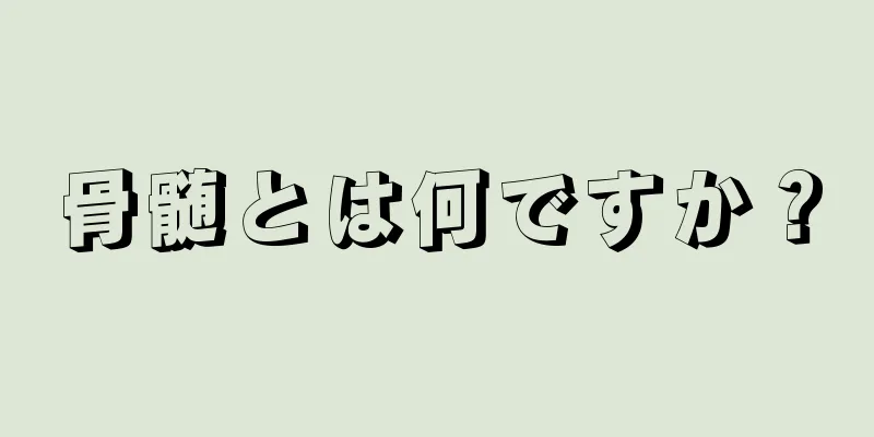 骨髄とは何ですか？