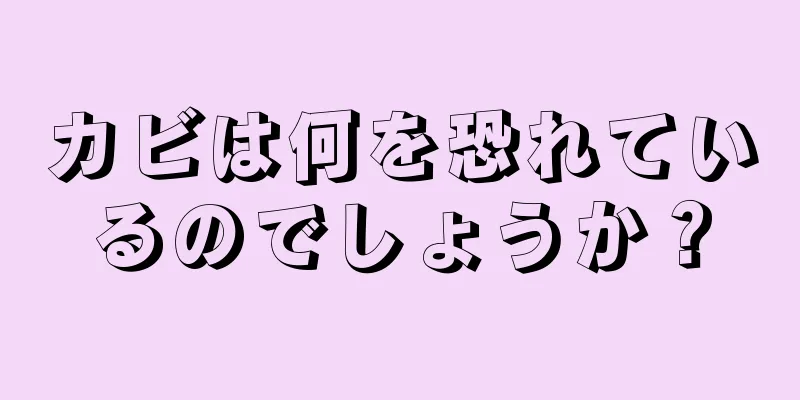 カビは何を恐れているのでしょうか？