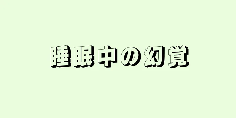 睡眠中の幻覚