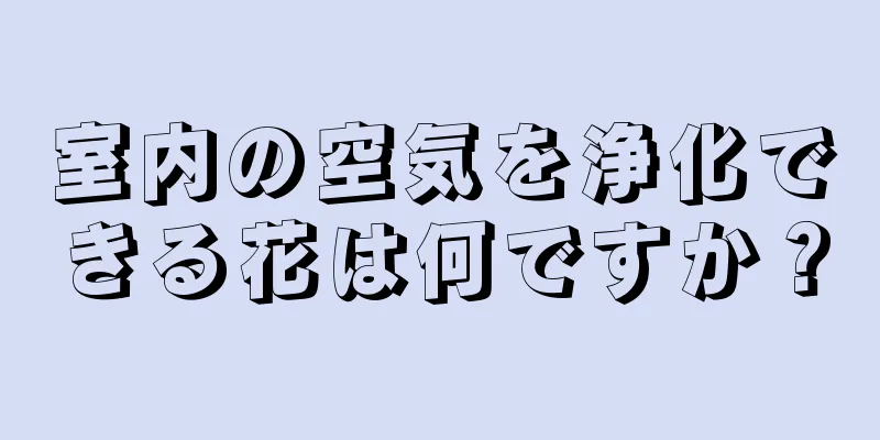 室内の空気を浄化できる花は何ですか？