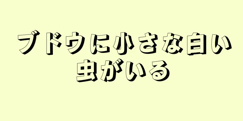 ブドウに小さな白い虫がいる