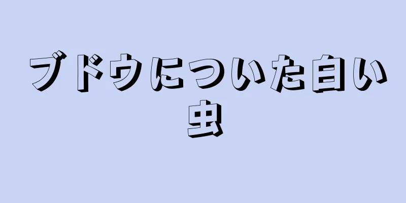 ブドウについた白い虫